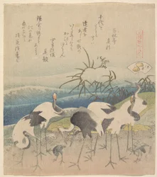 Ashi Clam, sarjasta ”Genroku Kasen Kai-awase”