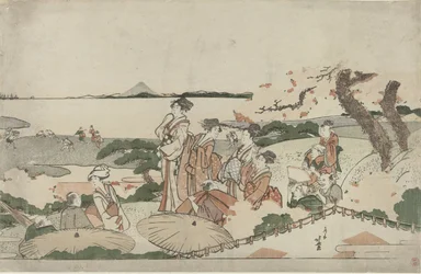 Ihaile kirsikankukkia Gotenyamassa