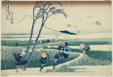 Kazuo Ejiri P Lovinse (Ejiri Sake), Teseriesistä "Tierty x Views Of Mount Fuji (Fugaku Usaju Rokukei)"