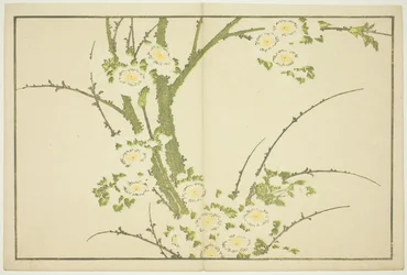 Kukat, Hokusain realististen maalausten kuvakirjasta (Hokusai shashin gafu)