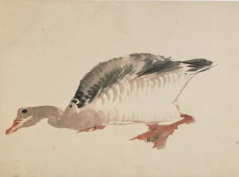 Hanhi, 1700-luvun loppu - 1800-luvun alku.