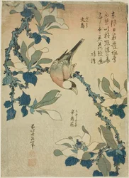 Paddy Bird ja Magnolia Flowers (Buncho, kobushi no hana), nimettömästä kukkien ja lintujen sarjasta