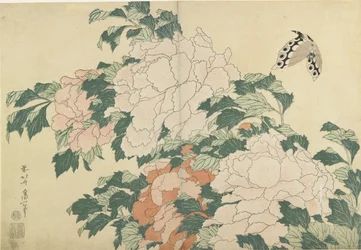 Pionit ja perhonen, c. 1830-1831