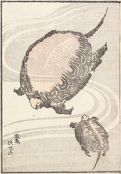 Sayama-ga-ike-lampi Musashin maakunnassa
