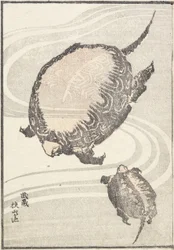 Sayama-ga-ike-lampi Musashin provinssissa, 1817