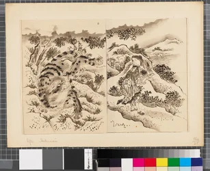 Kohtauksia Japanin ja Korean välisestä sodasta, 1700-luvun loppu-1900-luvun alkupuolisko (tussi ja pesu paperille).