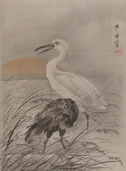 Nosturit Marshissa, n. 1887.