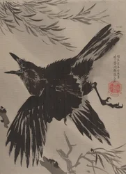 Crow and Willow Tree, marraskuu 1887.