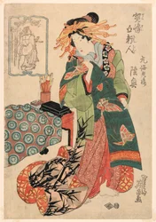 Mutsu pyöreitä katkarapuja
