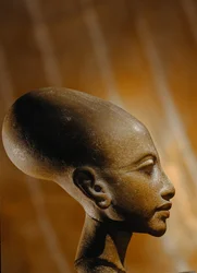 Prinsessan komposiittipää Amarnasta, laajasta egyptiläisestä arkeologisesta..., 2009 (kuva)