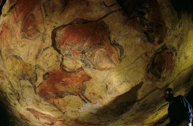 Biisonien galleria, Altamiran luola, Espanja, 2000 (kuva).