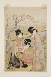 Sake-bileet meren rannalla (värillinen puupainatus)
