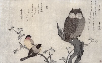 Pöllö ja kaksi itämaisen härkäpeppua, albumista "Linnut verrattuna huumorilauluihin, 100 ja 1000 linnun runokilpailu", 1791 (värillinen puupainatus)