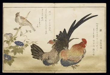 P.332-1946, osa 1, lehti 8: kukko ja kana oikealla sekä sirkku vasemmalla, albumista "Lintuja vertailevia humoristisia lauluja" ("Momo Chidori Kyoka Awase"), 1791