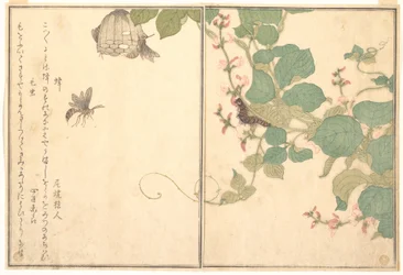 Paperiampiainen (Hachi); karvainen toukka (Kemushi), Kuvakirjasta ryömivistä olennoista (Ehon mushi erami)