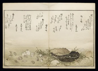 Shiohi no tsuto (lahjoja Ebb Tidesta), joka tunnetaan nimellä Shell Book, 1789 (värillinen puupainatus)