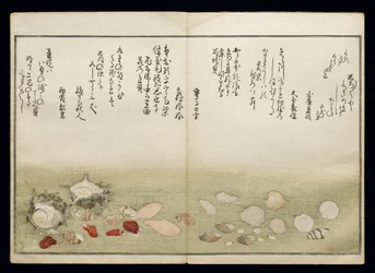 Shiohi no tsuto (lahjoja Ebb Tidesta), joka tunnetaan nimellä Shell Book, 1789 (värillinen puupainatus)