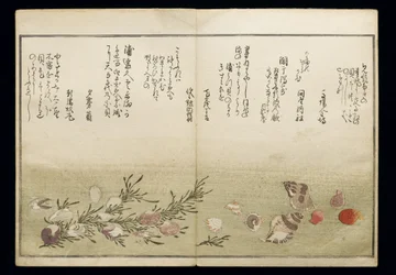 Shiohi no tsuto (lahjoja Ebb Tidesta), joka tunnetaan nimellä Shell Book, 1789 (värillinen puupainatus)