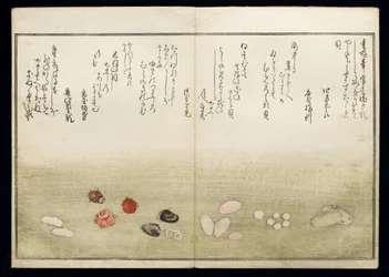 Shiohi no tsuto (lahjoja Ebb Tidesta), joka tunnetaan nimellä Shell Book, 1789 (värillinen puupainatus)