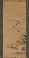 Waxwings, Cherry Blossoms ja Bamboo, 1600-luvun loppu.