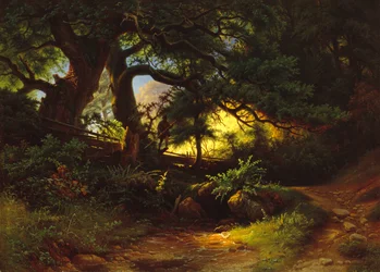 Metsäosa, jossa on metsuri