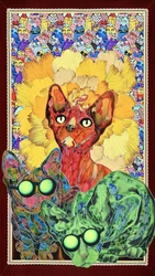 Värikkäät sphynx-kissat