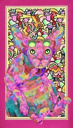 Psykedeelinen sphynx-kissa