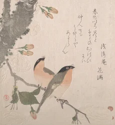 Bullfinches ja kirsikankukat, 1800-luku.