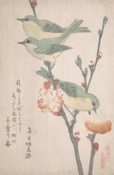 Japanilaiset valkosilmät persikkapuun oksalla,..., n. 1805-10.