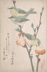Japaninsilmälintuja persikkapuun oksalla, sarjasta "Lintujen valikoima" (Tori awase), surimono-albumista "Kevätsade" (Harusame surimono-jō, osa 3)