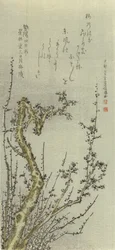 Vanha luumupuu, 1796.