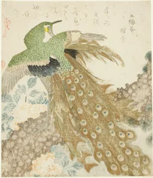 Riikinkukko, mänty ja pionit sarjasta "A Set of Three Terals (San hira no uchi)"