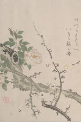 Ruusut ja luumunkukat, 1800-luku.