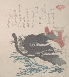 Erilaisia merileviä, 1800-luku.