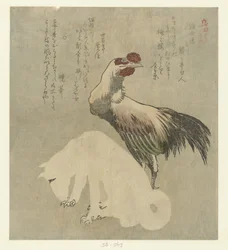 Kukko ja koira