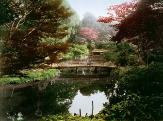 Japanilainen koristepuutarha kukkasessa (käsinvärinen albumiinipainatus kortissa)