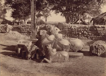 Härät tai nadiat koristeveistoksin koristeltuina Sivukuva, Warangal, Hyderabad, Dekaani