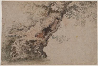 Hollow Tree, Roelant Saveryn mukaan, vuoden 1670 jälkeen.