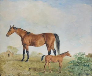 Herra Youngin hevoset, Benjamin ja Lambert Marshall (öljy kankaalle).