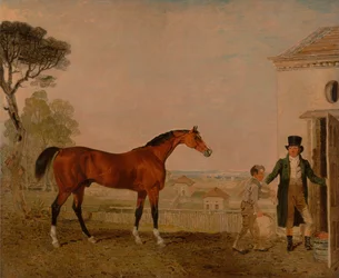 "Sultan" Exeter Marquessin tutkimuksessa, Burghley House