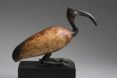 Ibis (pronssi ja puu)