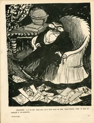 Voilautanen, numero 215, satiirinen väri