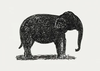 Elephant (n. 1891–1941)