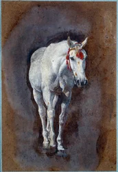 Hevospiirustus