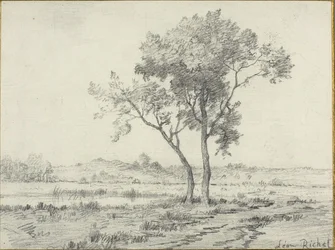Maisema