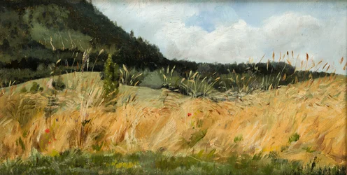 Viljapelto