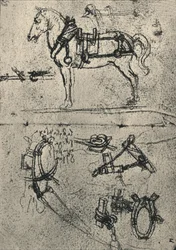 Valjastettu kärryhevonen ja valjaiden opinnot, c1480 1945