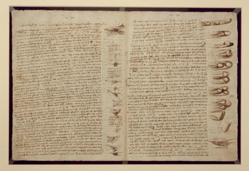 Sivu Codex Leicesteristä, 1508-12 (seepiamuste pellavapaperille)