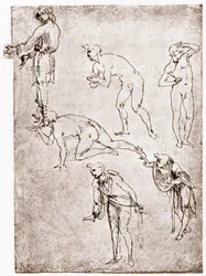 Paimenten palvonta, n. 1478-1480.