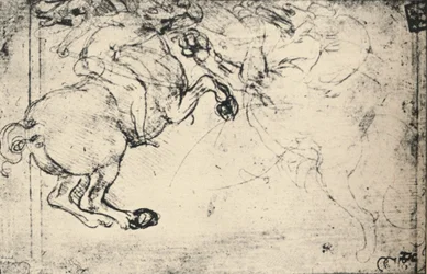 Taistelu ratsumiehen ja griffinin välillä, c1480 1945